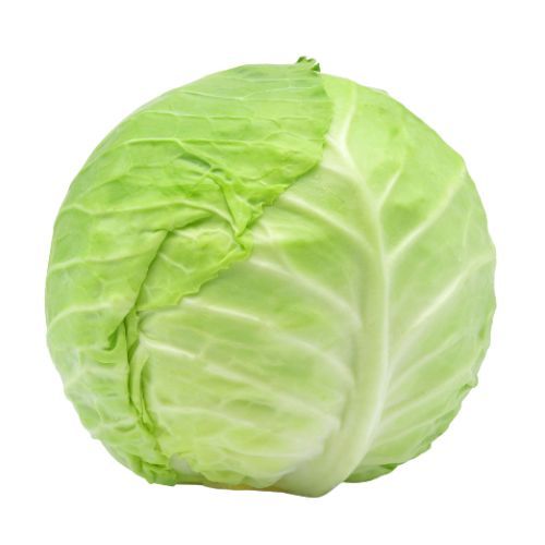 Patta Gobi(Fresh Cabbage)
